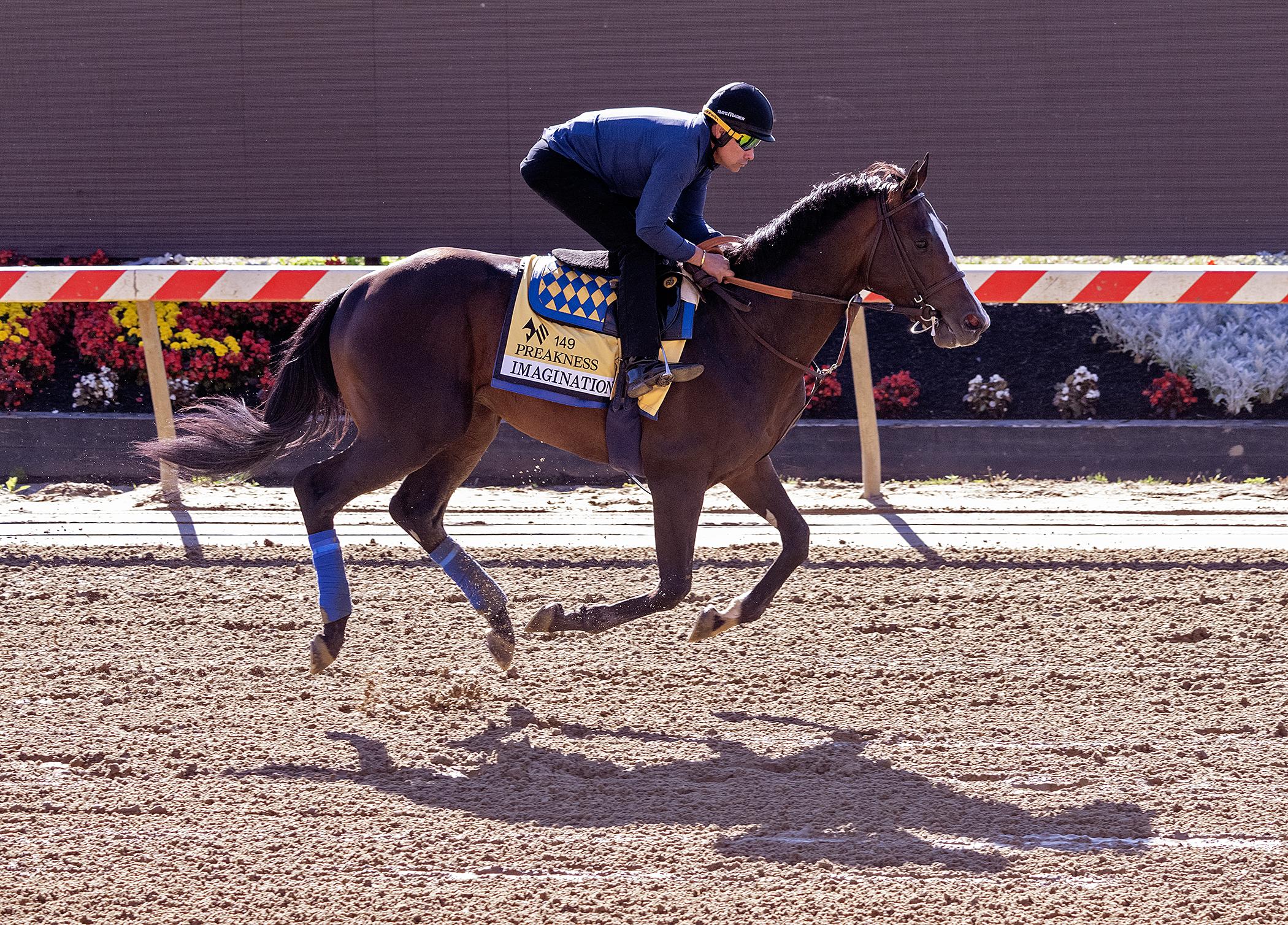 Preakness Stakes, Imagination, Pimlico, Bob Baffert, Triple Crown Preakness Stakes, Imagination, Pimlico, Bob Baffert, Triple Crown